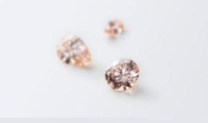 スクリーンショット 2026-01-05 175840